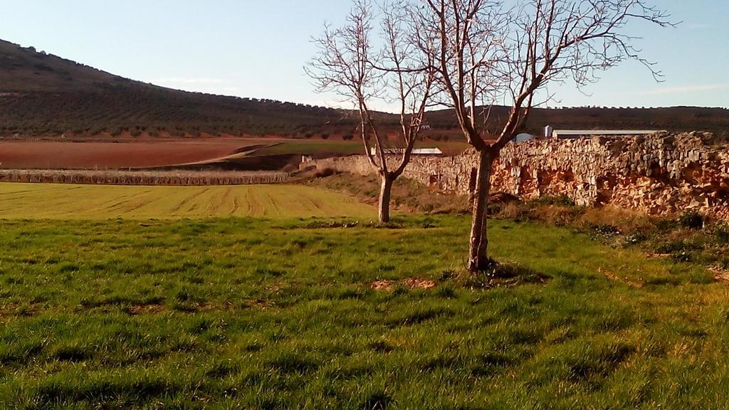 Hotel Rural La Vida De Antes Consuegra Exterior photo